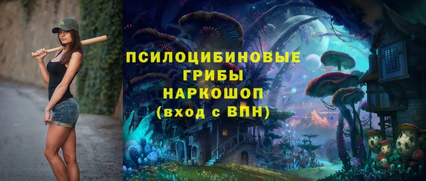 хмурый Алзамай