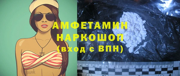 хмурый Алзамай