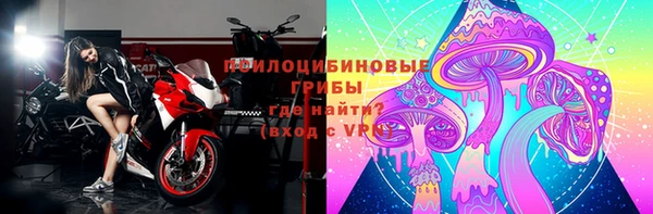 хмурый Алзамай