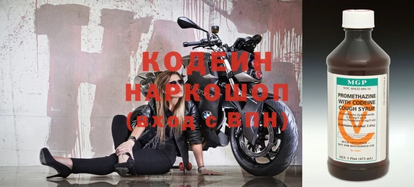 хмурый Алзамай