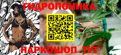 кокс Гай