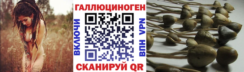 Галлюциногенные грибы мицелий купить Петропавловск-Камчатский