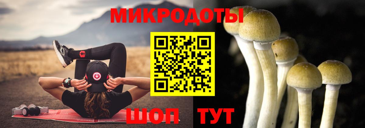 Галлюциногенные грибы ЛСД  Вход с VPN  Петропавловск-Камчатский  Галлюциногенные грибы мицелий 
